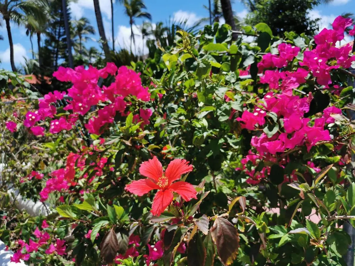 Ocean View Villa Bavaro Beach - 7Guests, Wifi, Bbq-Grill, Beach Accessプンタ・カナ