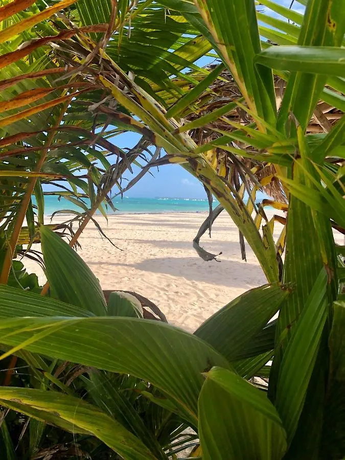 Ocean View Villa Bavaro Beach - 7Guests, Wifi, Bbq-Grill, Beach Access Punta Cana 0*,  Dominican Republic